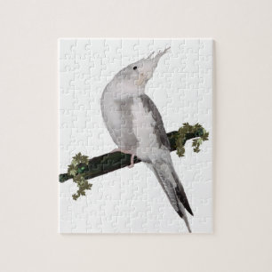 Puzzle Cute Lutino Cockatiel Bird Ivy Perch Animal