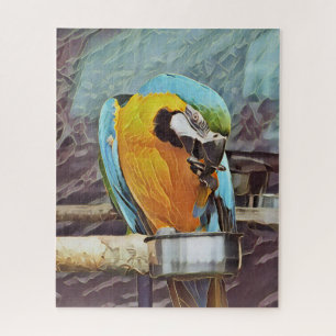PUZZLE CUTE MACAW