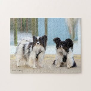 Puzzle Cute Papillon Toy Spaniels Chiens au quai