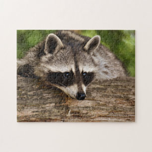 Puzzle Cute Raccoon en forêt Photo