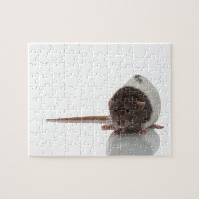 Puzzle Cute Rat sur blanc (Horizontal)