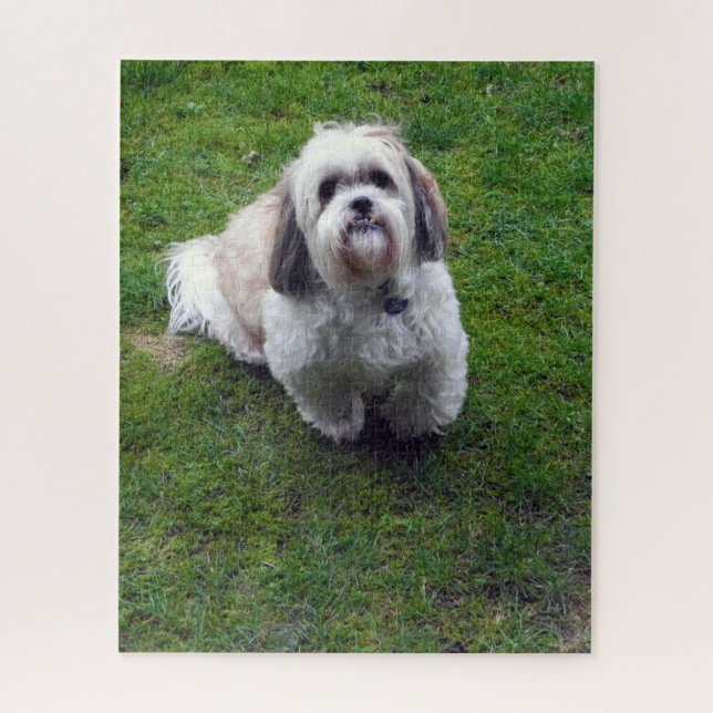 Puzzle Cute Shih Tzu Fluffy Dog Photo Modèle photo (Vertical)