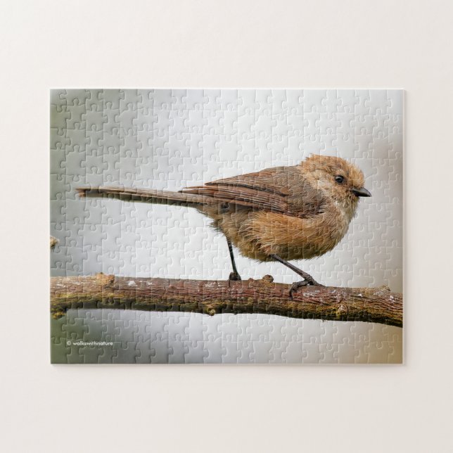 Puzzle Cute Wete Bushtit Songbird sur l'arbre à fruits (Horizontal)
