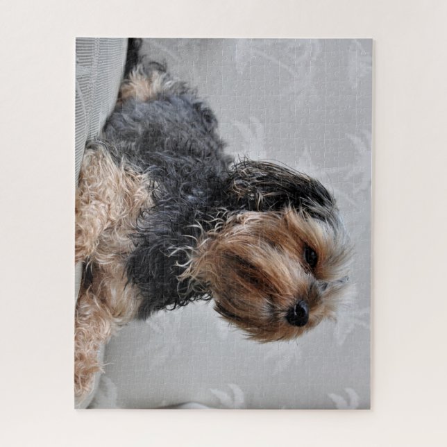 Puzzle Cute Yorkie Yorkshire Terrier bronzage (Vertical)