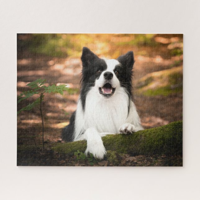 Puzzle Cutest Baby Animals | Black and White Border Colli (Horizontal)