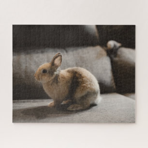 Puzzle Cutest Baby Animals Netherland Dwarf Rabbit
