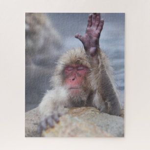 Puzzle Cutest Baby Animals   Snow Monkey Face