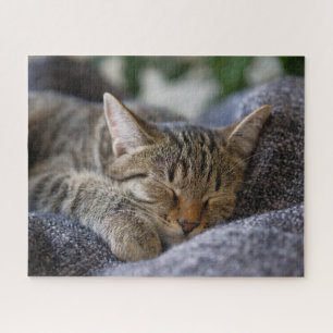 Puzzle Cutest Baby Animals   Tabby Kitten Sleeping
