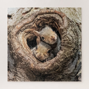 Puzzle Cutest Baby Animals Two Young Squirrels