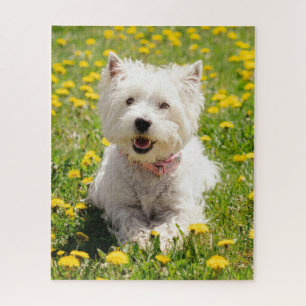 Puzzle Cutest Baby Animals   Westie Dog in Dandelions