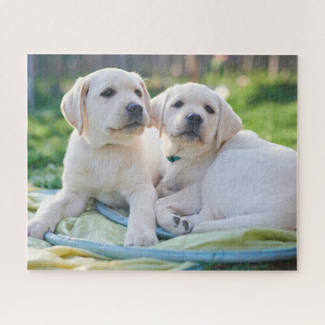 Puzzle Cutest Baby Animals | Yellow Labrador Retrievers (Horizontal)