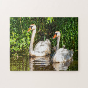 Puzzle cygne