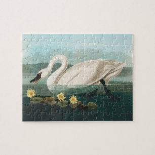 Puzzle cygne audubon cygnes d'eau blanche