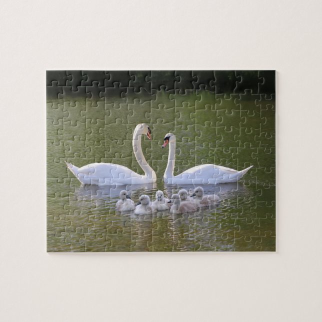 Puzzle Cygne et cygnets (Horizontal)