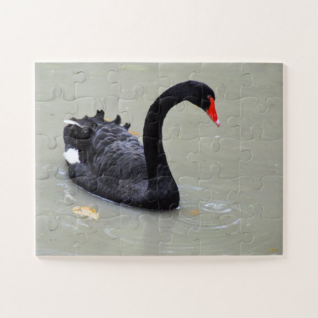 Puzzle Cygne noir (Horizontal)