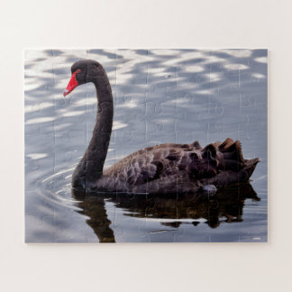 Puzzle Cygne noir d'Australie