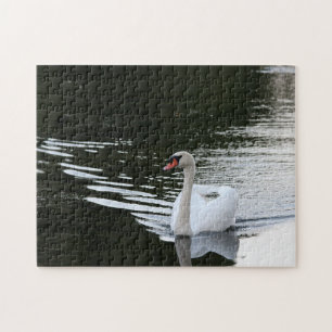 Puzzle Cygne tuberculé