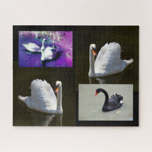 Puzzle Cygnes