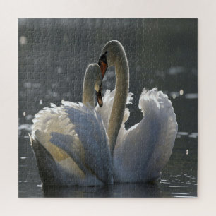 Puzzle Cygnes amoureux