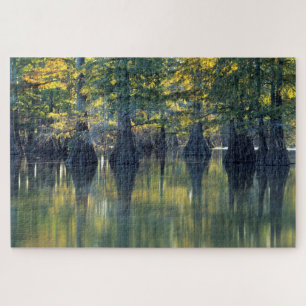 Puzzle Cyprès chauves   Horseshoe Lake Illinois
