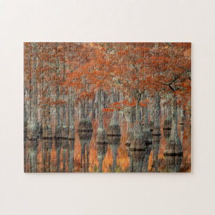 Puzzle Cyprès  Parc d'État George Smith, Géorgie