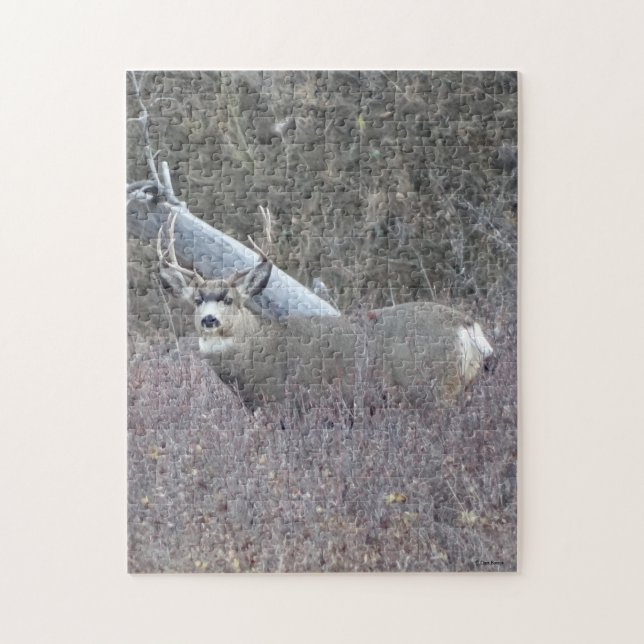 Puzzle D32 Mule Deer Buck (Vertical)
