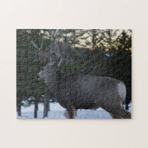 Puzzle D8 Mule Deer Buck