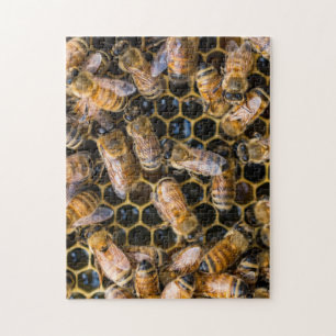 Puzzle d'abeille