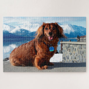 Puzzle Dachshund