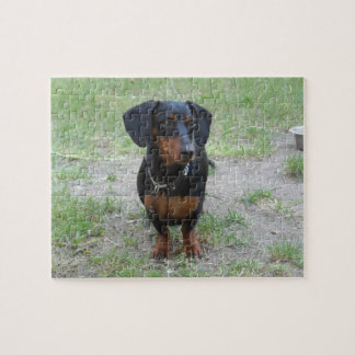 Puzzle Dachshund noir et Brown
