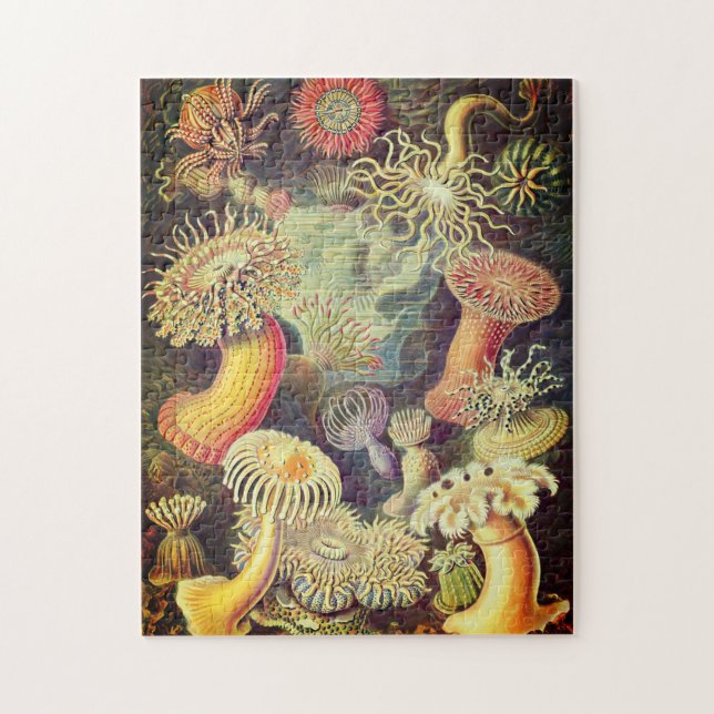 Puzzle d'Actiniae Vintage par Ernst Haeckel (Vertical)