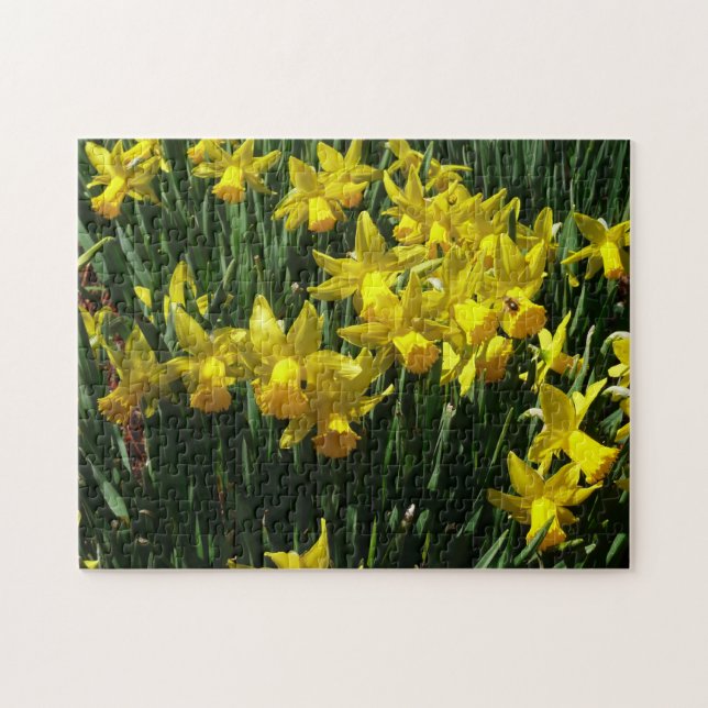 Puzzle Daffodiles Jaunes I Fleurs De Printemps Cheveux (Horizontal)
