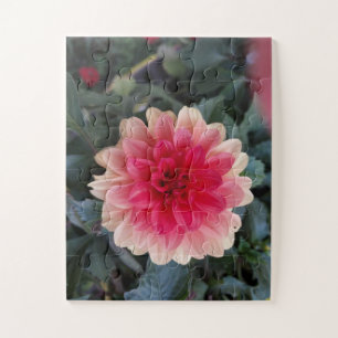 Puzzle Dahlia bigarré rouge et blanc