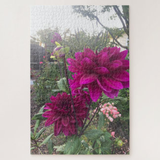 Puzzle Dahlia pourpre, San Mateo