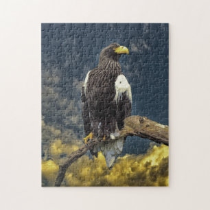 Puzzle d'aigle de Stellars