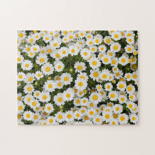 Puzzle Daisy (Horizontal)