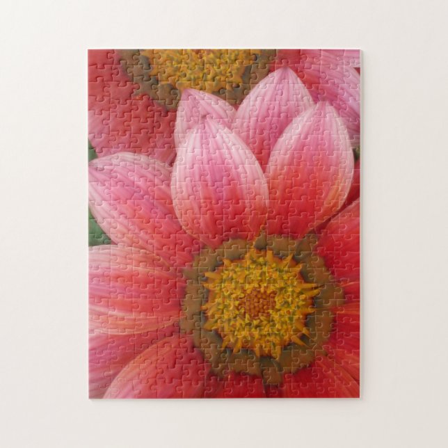 Puzzle Daisy africain (Vertical)
