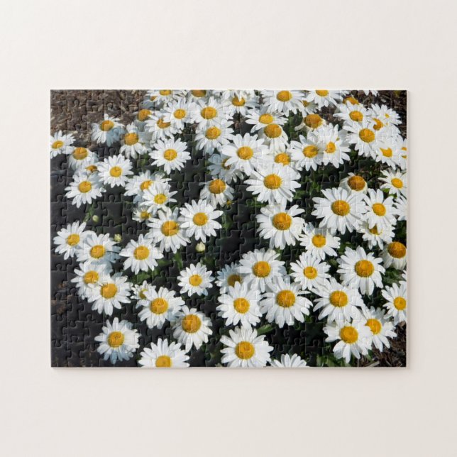 Puzzle Daisy Days (Horizontal)