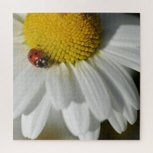 Puzzle Daisy Et Un Ladybug