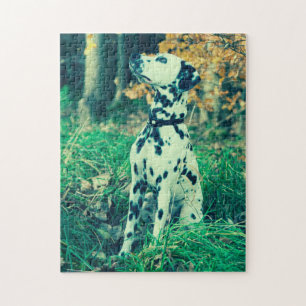 Puzzle Dalmatien