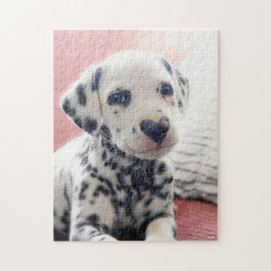 Puzzle Dalmatien Nez de Coeur