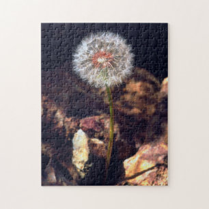 Puzzle Dandelion