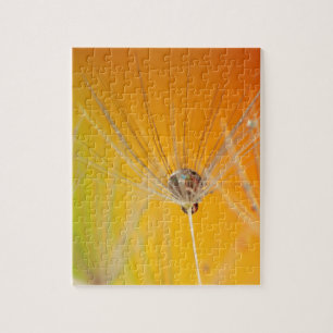 Puzzle Dandelion Fleurs Destiny Peace Love Art