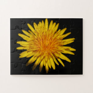 Puzzle Dandelion Flower 11x14 30pc jpcn
