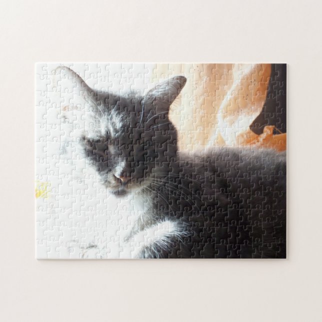 Puzzle Dans la lumière Sunny Chat ou faire votre propre (Horizontal)