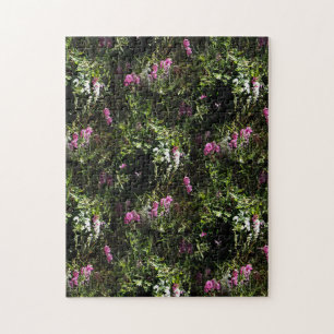 Puzzle Dans les montagnes où poussent les Sweet Peas....