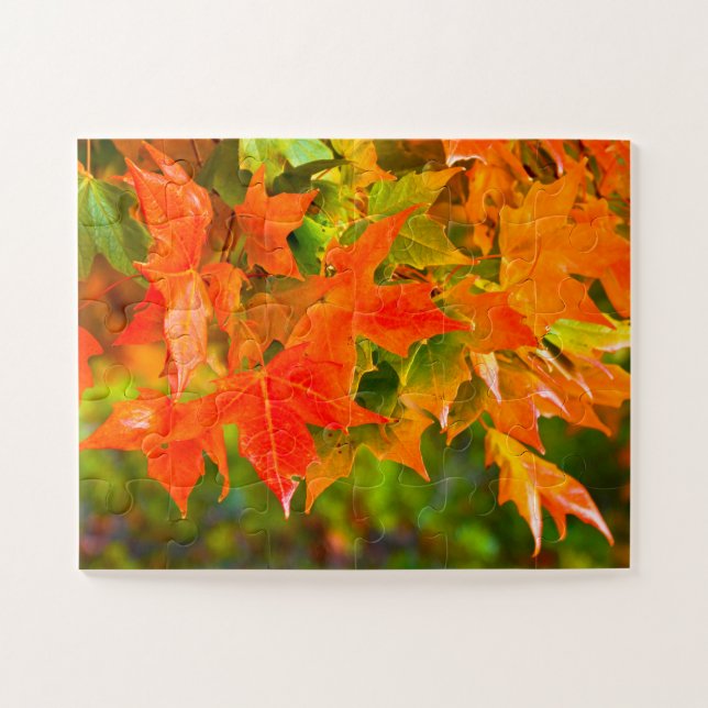 Puzzle Danse Maple Leaf (Horizontal)