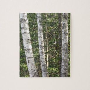 Puzzle d'arbre de bouleau