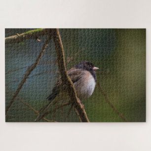 Puzzle Dark Eyed Junco