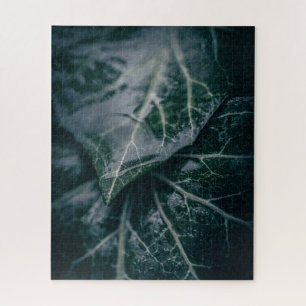 Puzzle Dark Moody Ivy Feuille Nature Photo